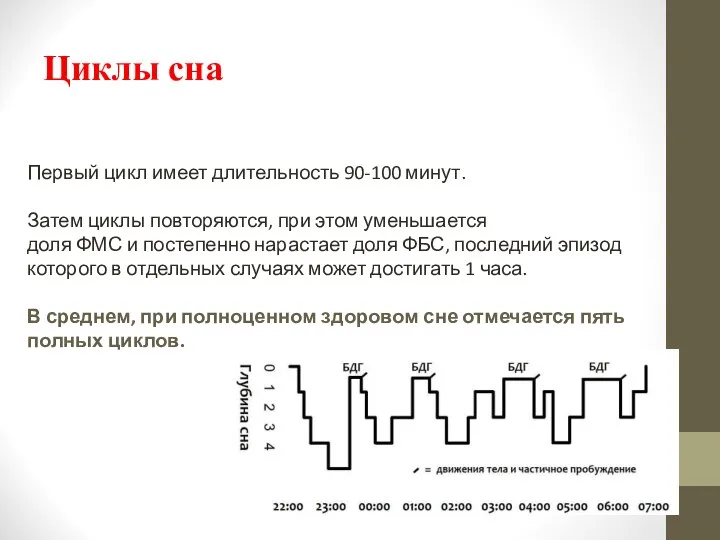 Циклы сна Первый цикл имеет длительность 90-100 минут. Затем циклы повторяются, при