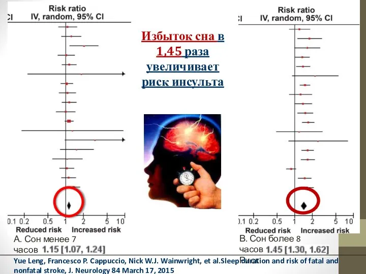 Избыток сна в 1,45 раза увеличивает риск инсульта А. Сон менее 7