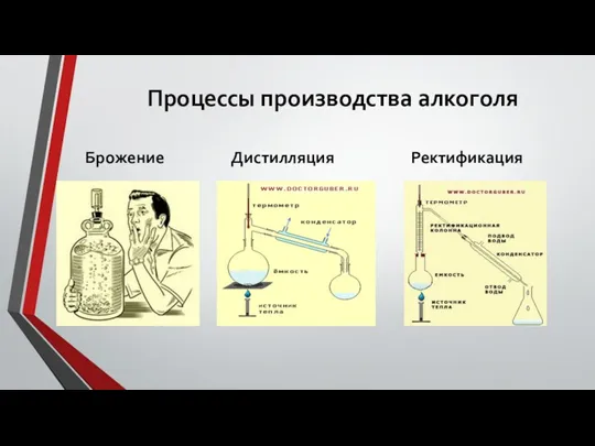 Процессы производства алкоголя Брожение Дистилляция Ректификация