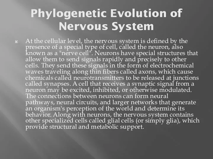 Phylogenetic Evolution of Nervous System At the cellular level, the nervous system
