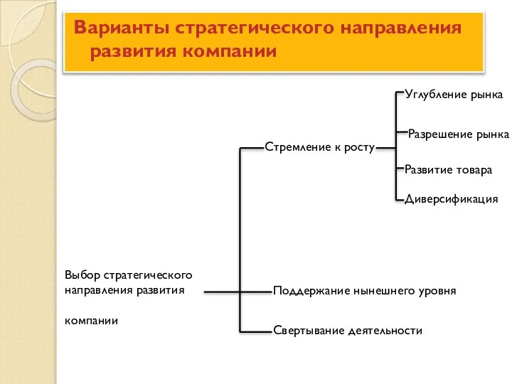 Варианты стратегического направления развития компании Выбор стратегического направления развития компании Поддержание нынешнего