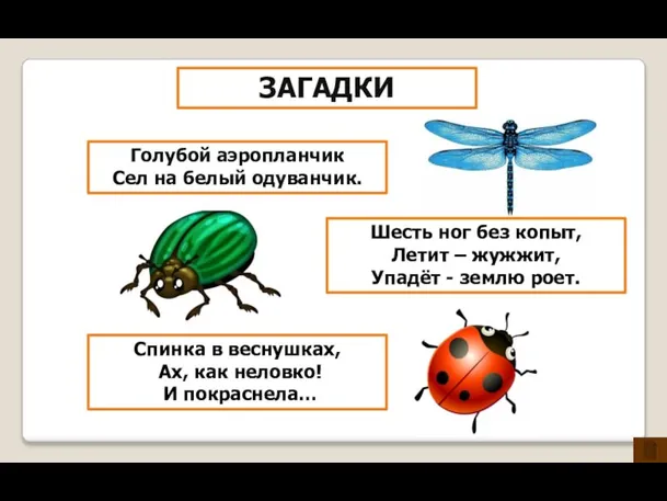 Голубой аэропланчик Сел на белый одуванчик. Шесть ног без копыт, Летит –