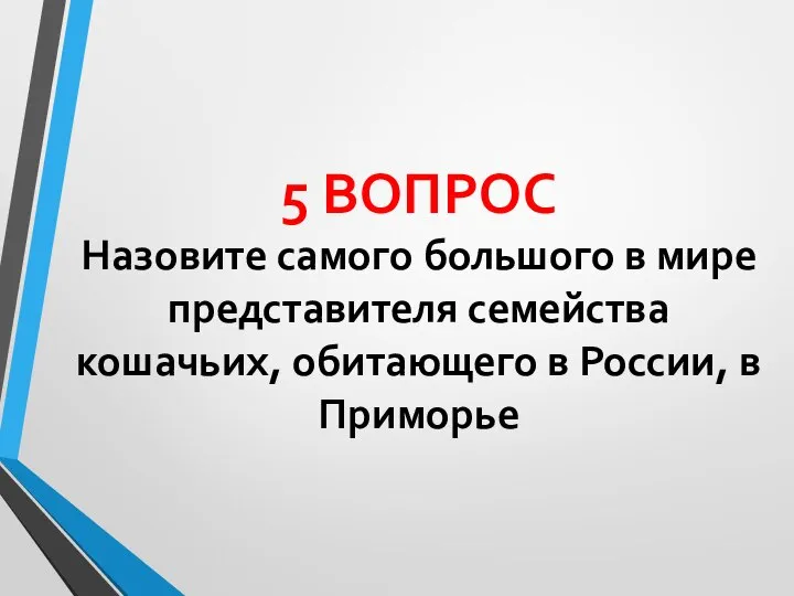 5 ВОПРОС Назовите самого большого в мире представителя семейства кошачьих, обитающего в России, в Приморье