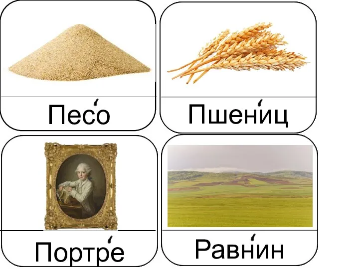 Песок Пшеница Портрет Равнина