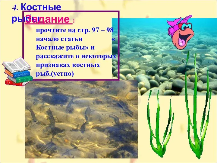 4. Костные рыбы . Задание : прочтите на стр. 97 – 98