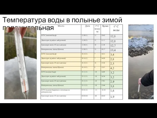 Температура воды в полынье зимой положительная