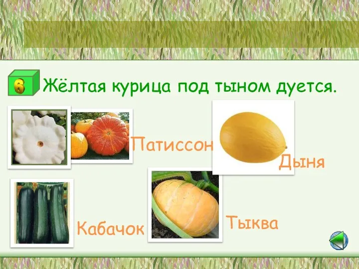 Станция «Самые-самые» Жёлтая курица под тыном дуется. Патиссон Кабачок Дыня Тыква