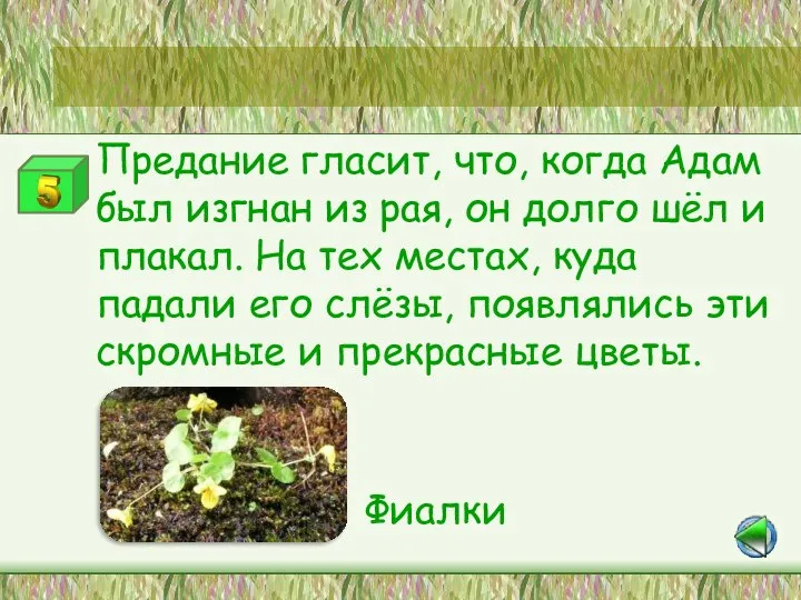 Станция «Это интересно» Предание гласит, что, когда Адам был изгнан из рая,