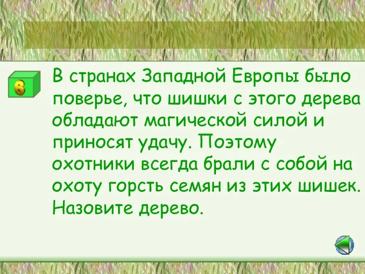 Станция «Это интересно» В странах Западной Европы было поверье, что шишки с