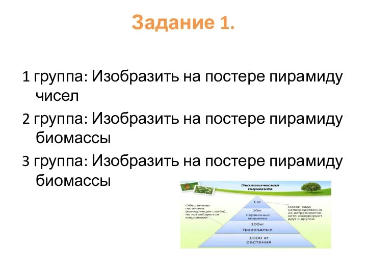 Задание 1. 1 группа: Изобразить на постере пирамиду чисел 2 группа: Изобразить