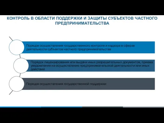 КОНТРОЛЬ В ОБЛАСТИ ПОДДЕРЖКИ И ЗАЩИТЫ СУБЪЕКТОВ ЧАСТНОГО ПРЕДПРИНИМАТЕЛЬСТВА