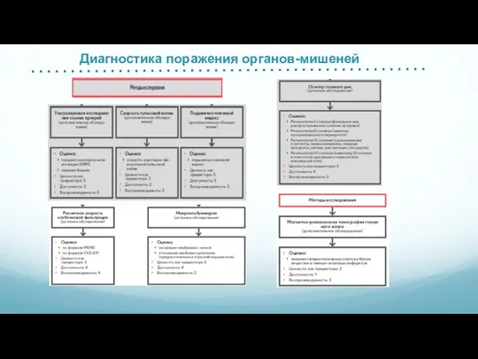 Диагностика поражения органов-мишеней