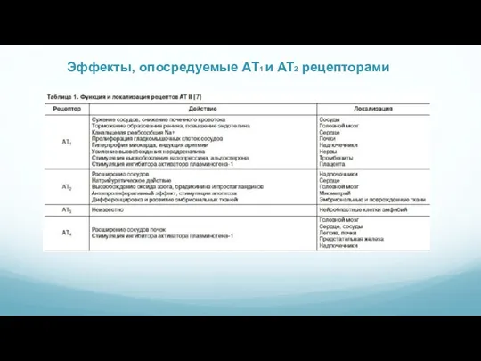 Эффекты, опосредуемые АТ1 и АТ2 рецепторами