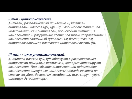 II тип – цитотоксический. Антиген, расположенный на клетке «узнается» антителами классов IgG,