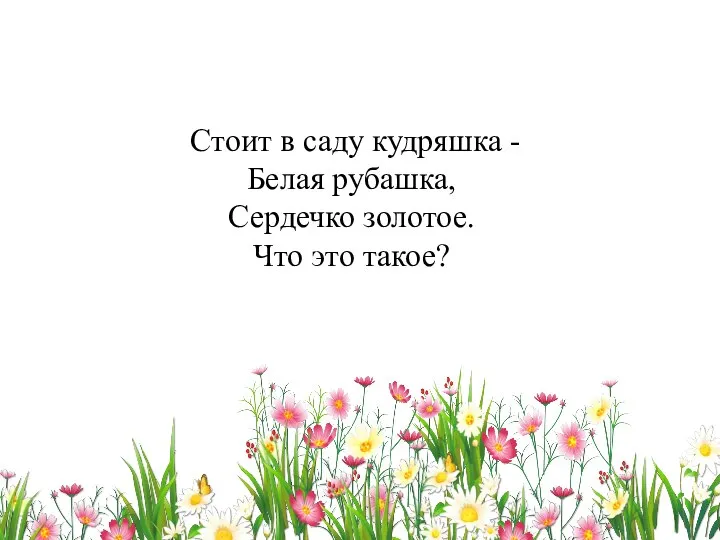 Стоит в саду кудряшка - Белая рубашка, Сердечко золотое. Что это такое?