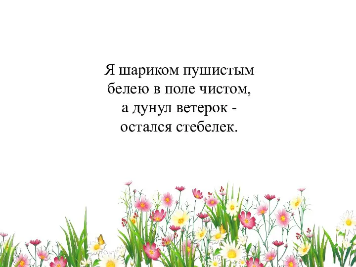 Я шариком пушистым белею в поле чистом, а дунул ветерок - остался стебелек.