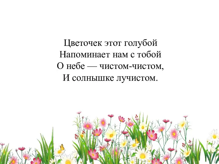 Цветочек этот голубой Напоминает нам с тобой О небе — чистом-чистом, И солнышке лучистом.