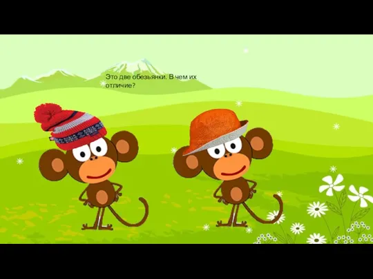 Это две обезьянки. В чем их отличие?