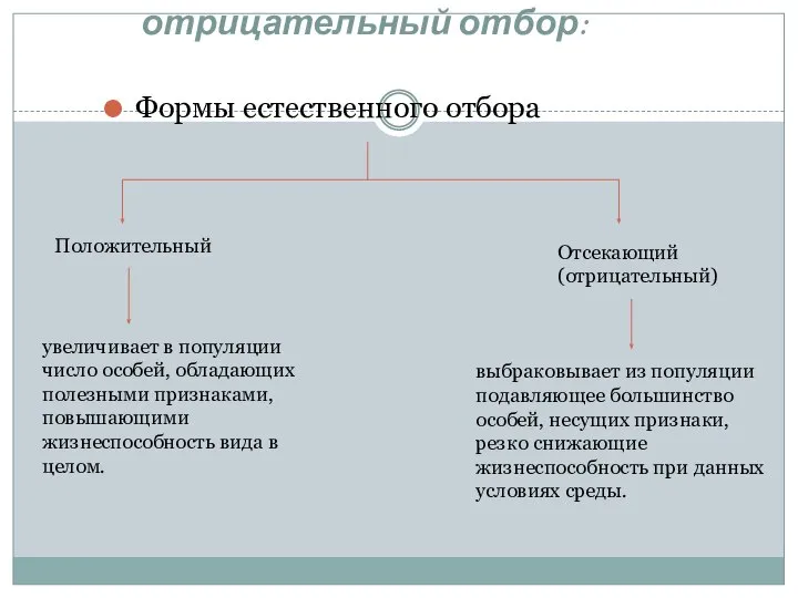 Положительный и отрицательный отбор: Формы естественного отбора Положительный Отсекающий (отрицательный) увеличивает в