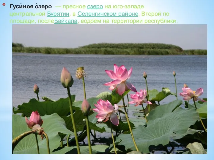 Гуси́ное о́зеро — пресное озеро на юго-западе центральной Бурятии, в Селенгинском районе.