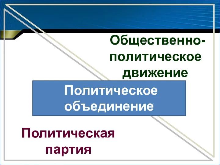 Общественно-политическое движение Политическая партия Политическое объединение