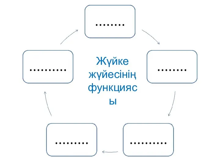 Жүйке жүйесінің функциясы