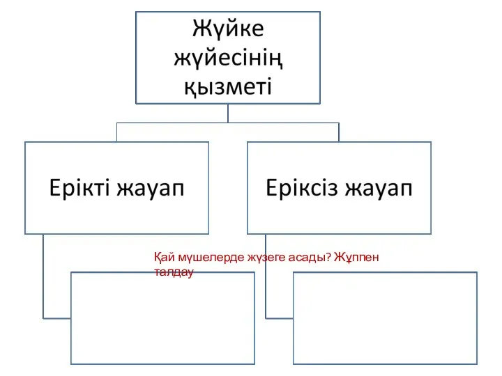 Қай мүшелерде жүзеге асады? Жұппен талдау