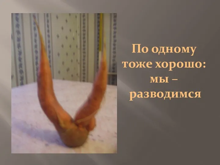 По одному тоже хорошо: мы – разводимся