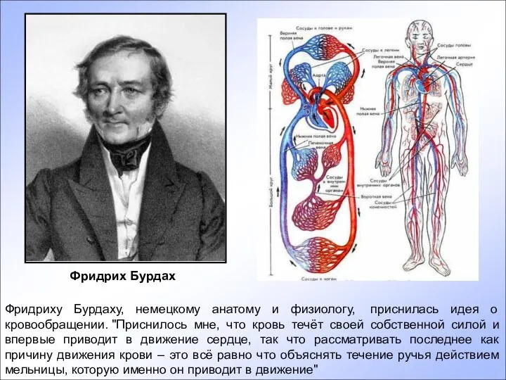 Фридриху Бурдаху, немецкому анатому и физиологу, приснилась идея о кровообращении. "Приснилось мне,