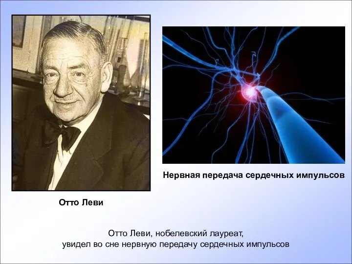 Отто Леви, нобелевский лауреат, увидел во сне нервную передачу сердечных импульсов Отто