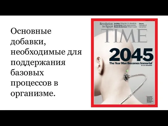 Основные добавки, необходимые для поддержания базовых процессов в организме.