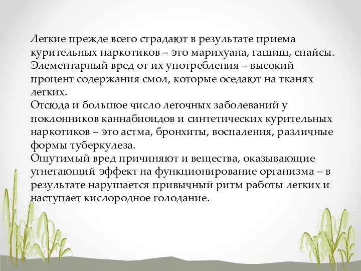 Легкие прежде всего страдают в результате приема курительных наркотиков – это марихуана,