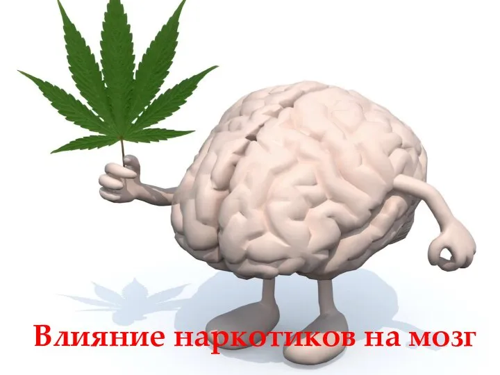 Влияние наркотиков на мозг
