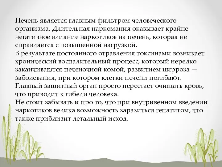 Печень является главным фильтром человеческого организма. Длительная наркомания оказывает крайне негативное влияние