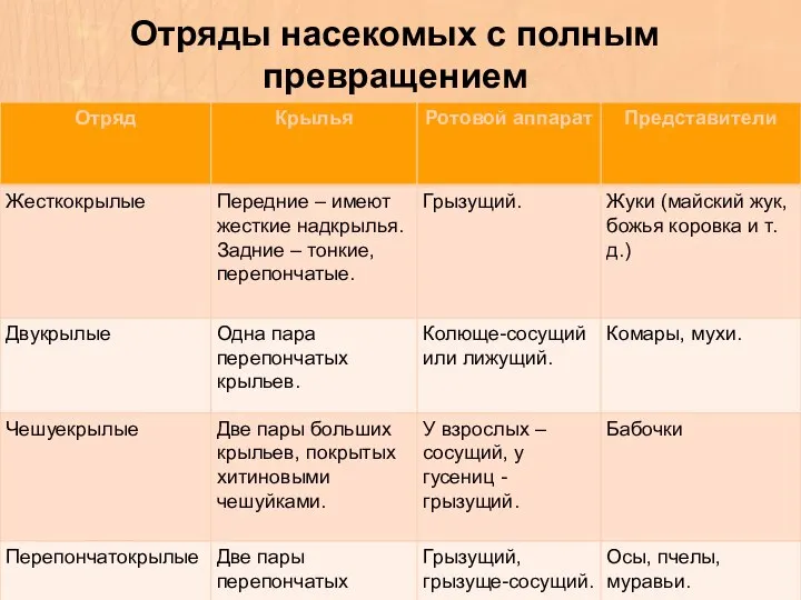 Отряды насекомых с полным превращением