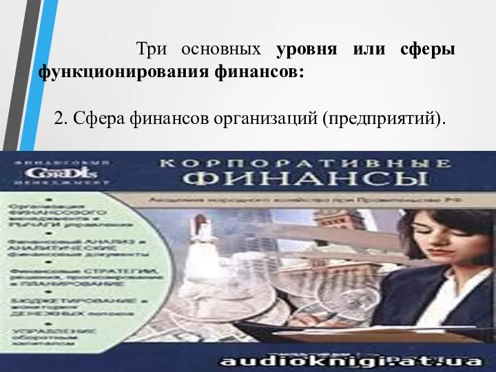 Три основных уровня или сферы функционирования финансов: 2. Сфера финансов организаций (предприятий).