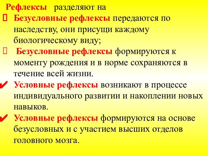 Рефлексы разделяют на Безусловные рефлексы передаются по наследству, они присущи каждому биологическому