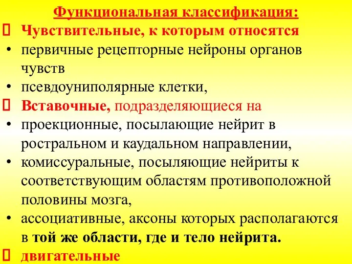 Функциональная классификация: Чувствительные, к которым относятся первичные рецепторные нейроны органов чувств псевдоуниполярные