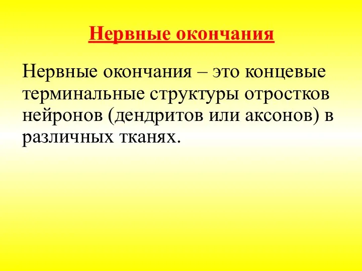 Нервные окончания Нервные окончания – это концевые терминальные структуры отростков нейронов (дендритов