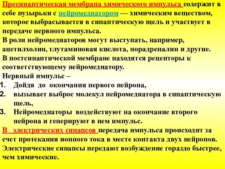 Пресинаптическая мембрана химического импульса содержит в себе пузырьки с нейромедиатором — химическим