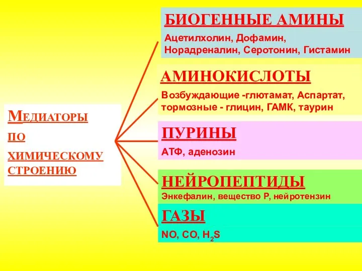 Медиаторы по химическому строению БИОГЕННЫЕ АМИНЫ АМИНОКИСЛОТЫ НЕЙРОПЕПТИДЫ Энкефалин, вещество Р, нейротензин