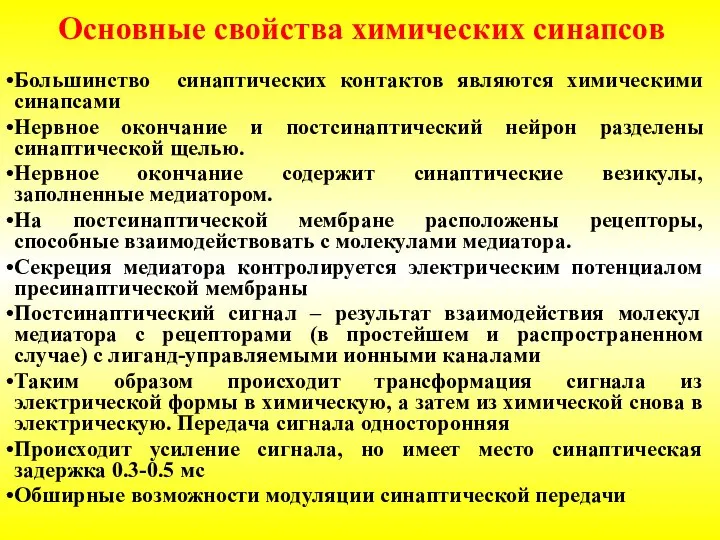 Большинство синаптических контактов являются химическими синапсами Нервное окончание и постсинаптический нейрон разделены