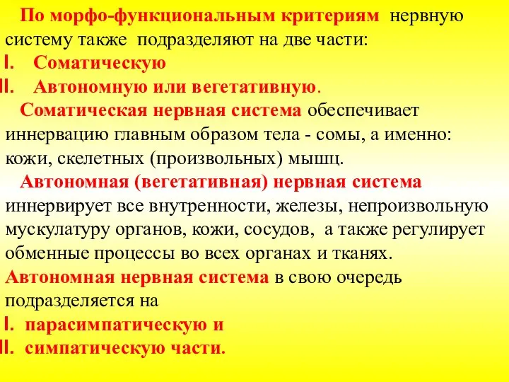 По морфо-функциональным критериям нервную систему также подразделяют на две части: Соматическую Автономную