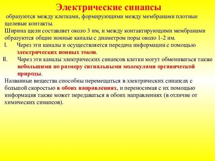 Электрические синапсы образуются между клетками, формирующими между мембранами плотные щелевые контакты. Ширина