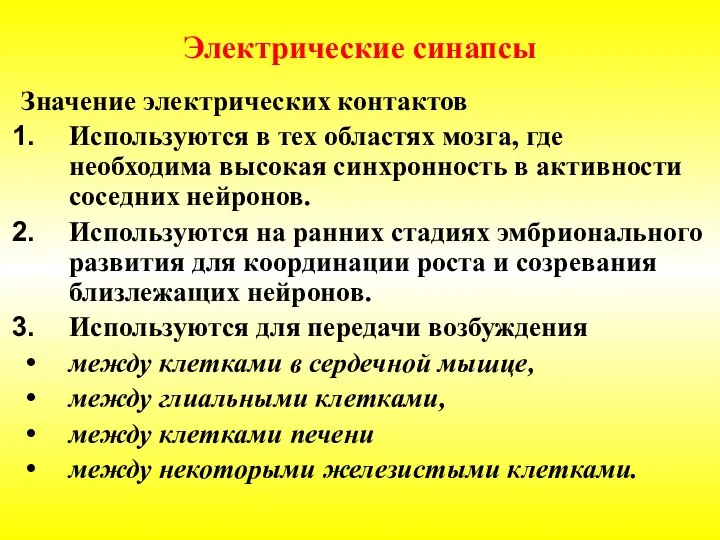 Электрические синапсы Значение электрических контактов Используются в тех областях мозга, где необходима