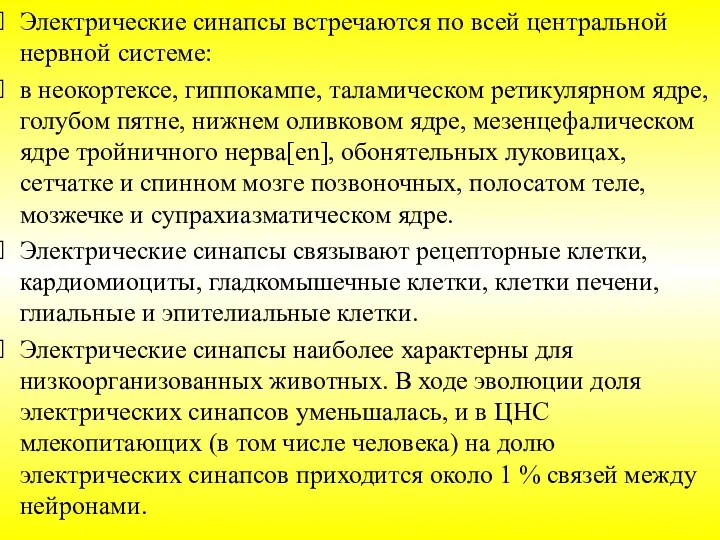 Электрические синапсы встречаются по всей центральной нервной системе: в неокортексе, гиппокампе, таламическом