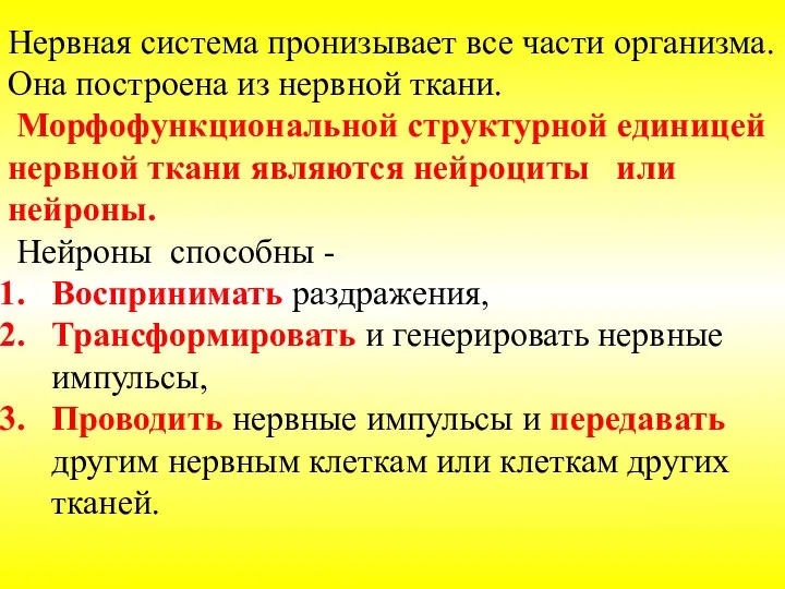 Нервная система пронизывает все части организма. Она построена из нервной ткани. Морфофункциональной