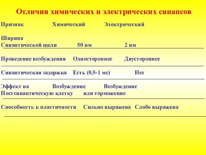 Отличия химических и электрических синапсов Признак Химический Электрический Ширина Синаптической щели 50