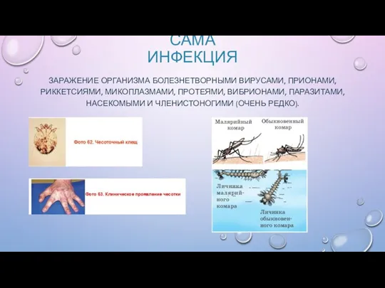 САМА ИНФЕКЦИЯ ЗАРАЖЕНИЕ ОРГАНИЗМА БОЛЕЗНЕТВОРНЫМИ ВИРУСАМИ, ПРИОНАМИ, РИККЕТСИЯМИ, МИКОПЛАЗМАМИ, ПРОТЕЯМИ, ВИБРИОНАМИ, ПАРАЗИТАМИ,