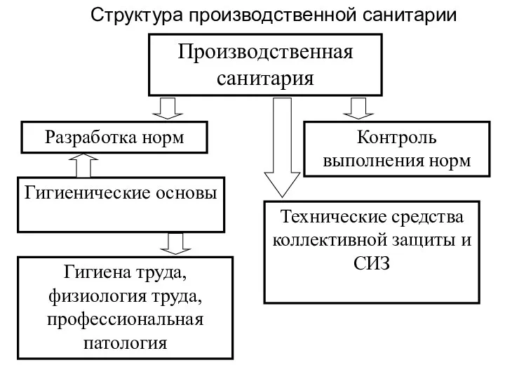 Структура производственной санитарии Производственная санитария Разработка норм Контроль выполнения норм Гигиенические основы